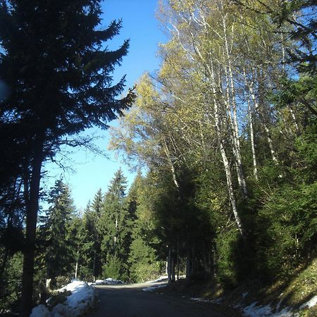 Gasthof Laggner Hotel Steindorf am Ossiacher See Esterno foto