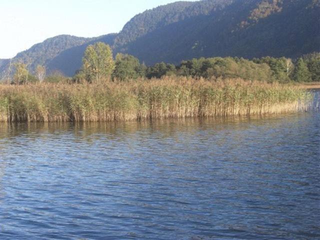 Gasthof Laggner Hotel Steindorf am Ossiacher See Esterno foto